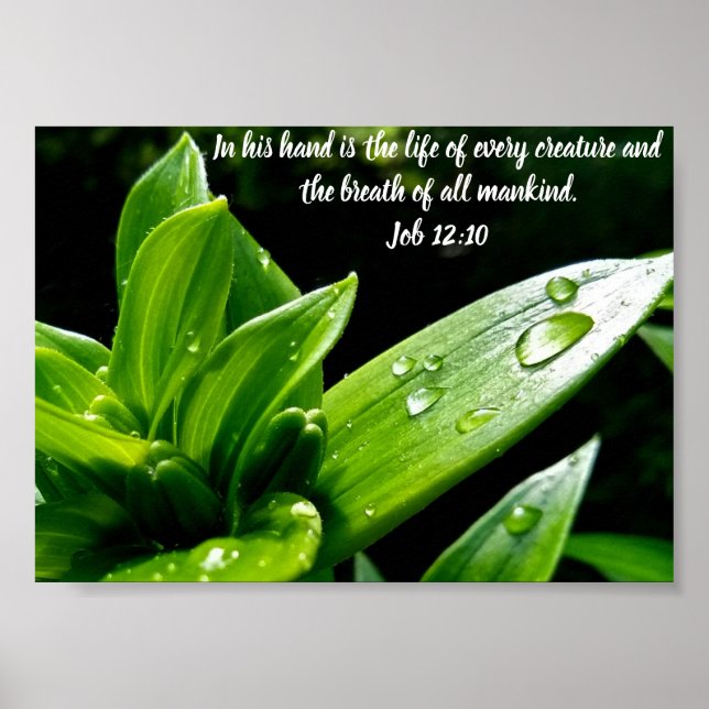 Jobb 12:10, Skriv ut, Poster Pappert (projektionsy (Framsidan)