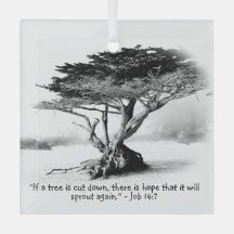 JOBB 14:7 Glasprydnad