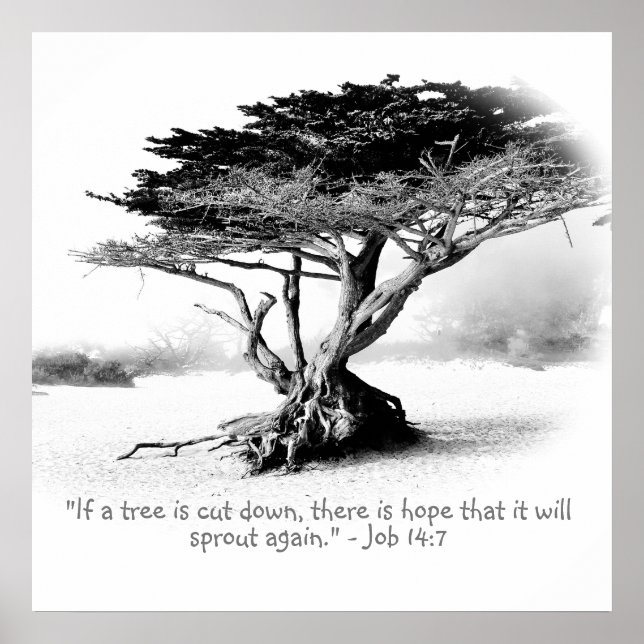 JOBB 14:7 Poster (Framsidan)