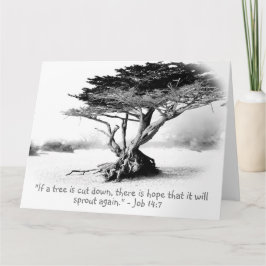 JOBB 14:7 Stora-mappade gratulationskort Kort