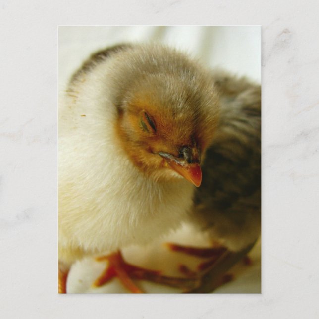 Jobbet lämnas kvar vykort (Framsida)