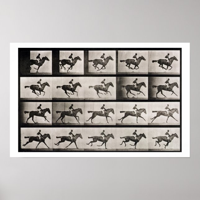 Jockey på en galopinghäst, plate 627 från Anima Poster (Framsidan)