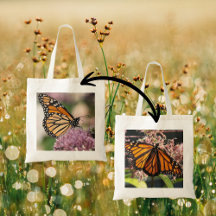 Jodblomma med monarch Butterfly Natature Photograp