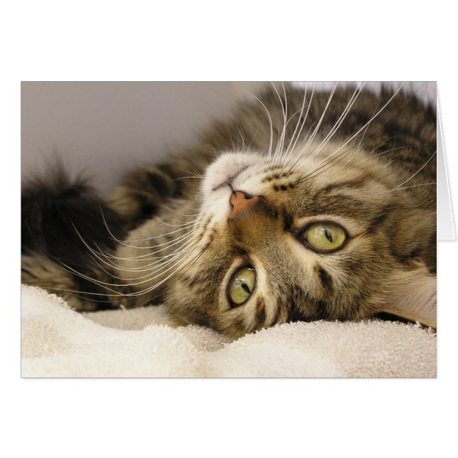 Jody OBS Kort (Framsidan Horizontal)