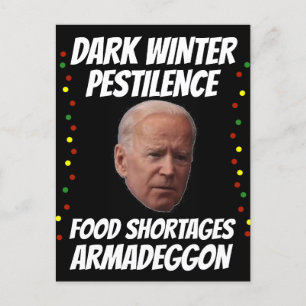 JOE BIDEN MÖRK WINTER CHRISTMAS POSTCARDS VYKORT