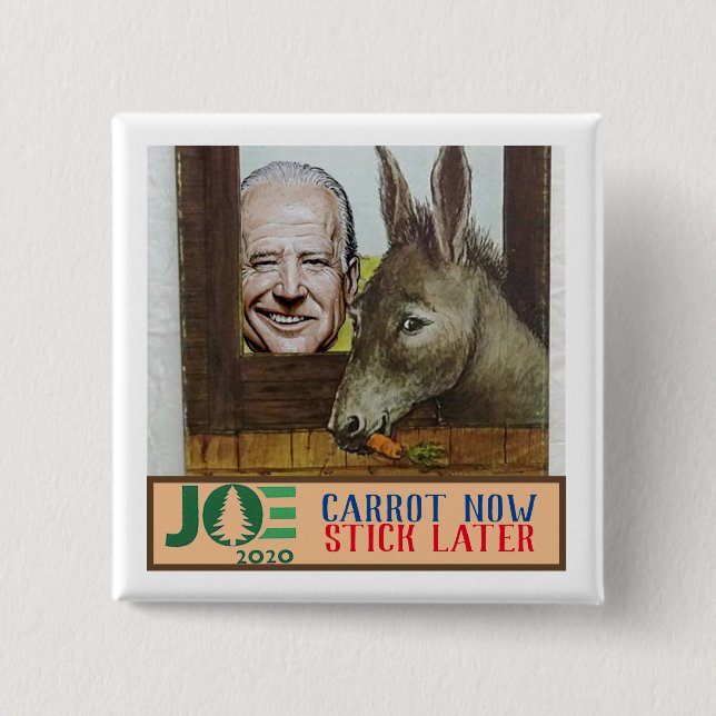 Joe Biden: Morot nu / Stick senare Knapp (Framsida)