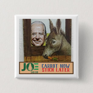Joe Biden: Morot nu / Stick senare Knapp