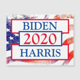 Joe Biden och Kamala Harris 2020 Val