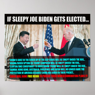 JOE BIDEN VALECTION POSTER