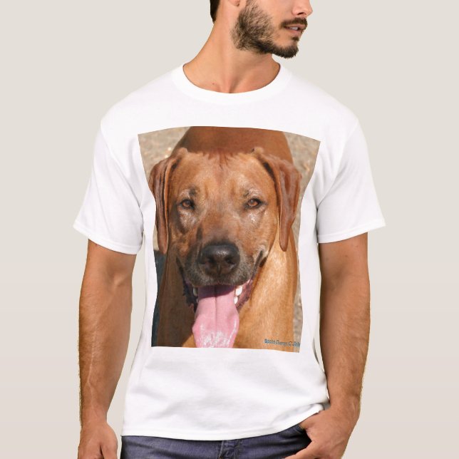 Joe leende tee (Framsida)