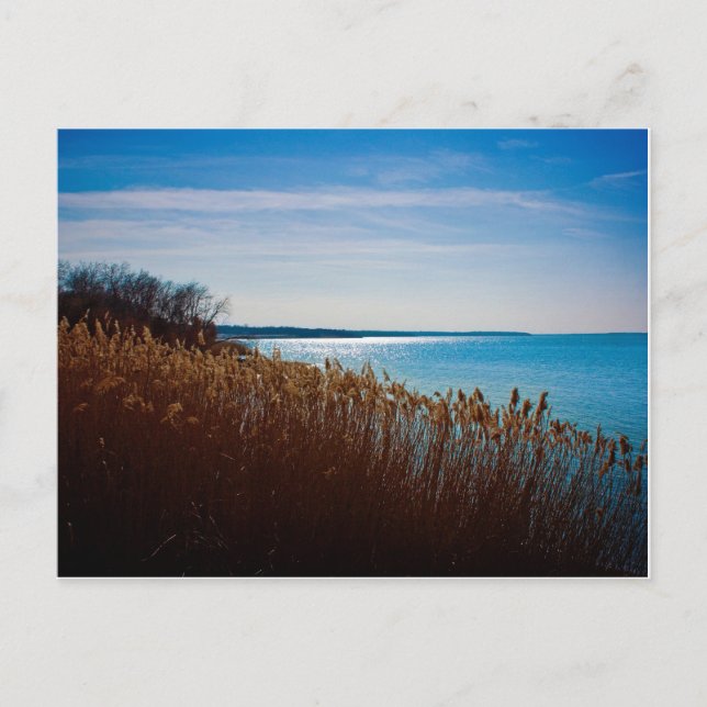 Joe Pool Lake vykort (Framsida)