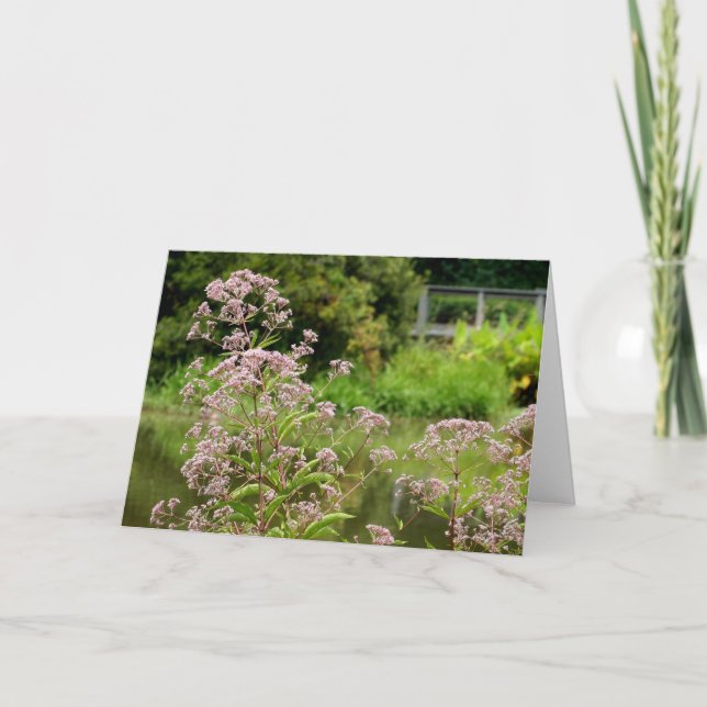 Joe Pye blommor noterar kortet Kort (Framsida)