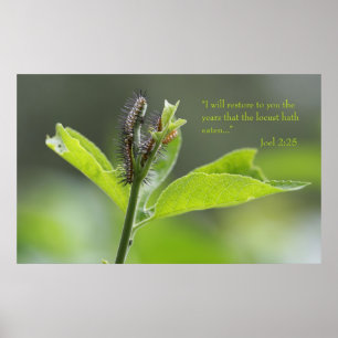 Joel 2:25 Poster skript (Version C)