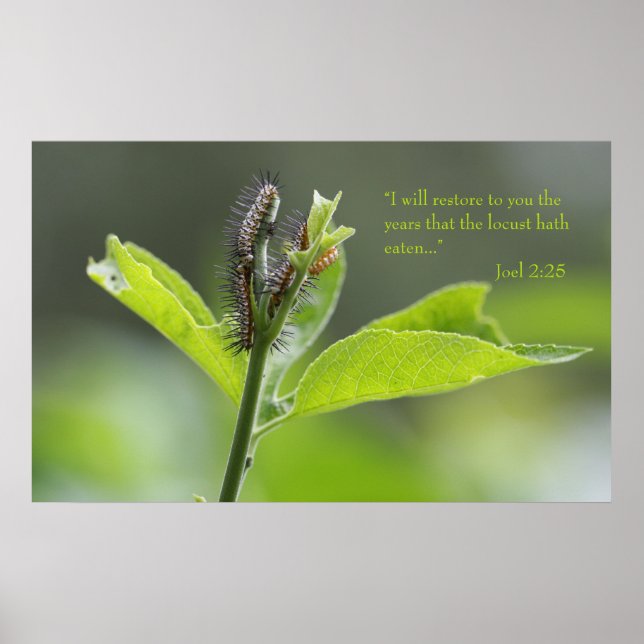 Joel 2:25 Poster skript (Version C) (Framsidan)