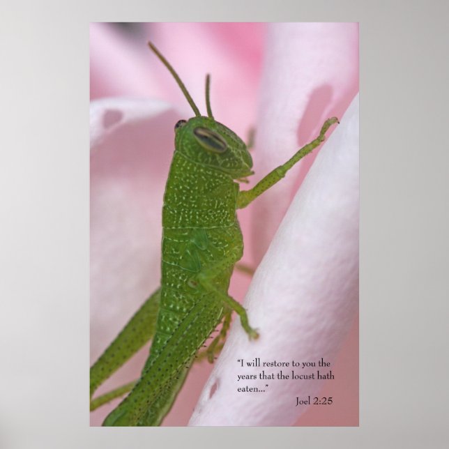 Joel 2-skript Poster (Framsidan)