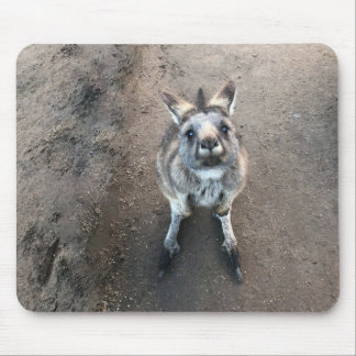Joey Kangaroo Mouse Pad Musmatta
