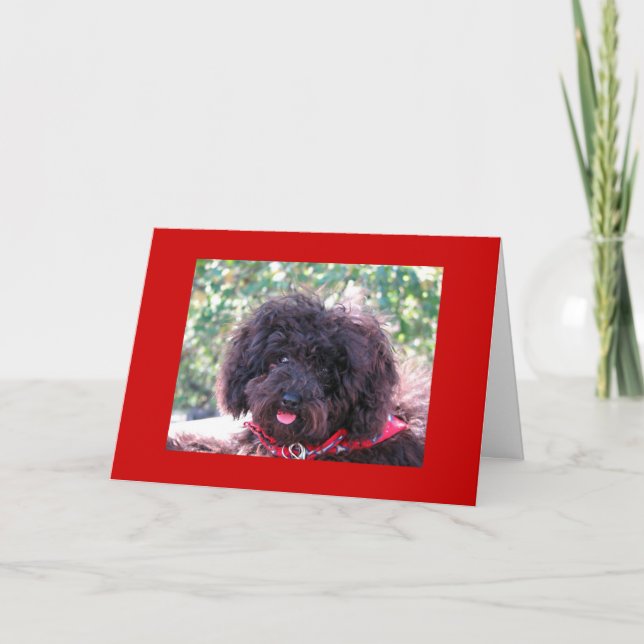 Joey "Tack" Tack Kort (Framsida)