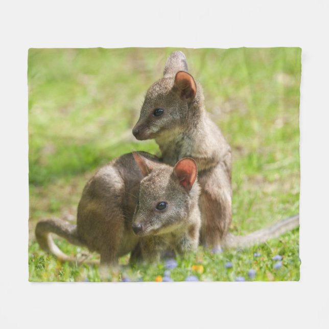 Joey Wallabies i Sunshine Fleecefilt (Framsidan (Horisontell))