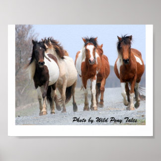 Joggarna lycklig poster