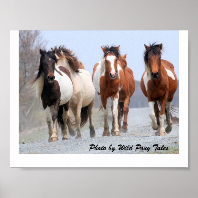 Joggarna lycklig poster (Framsidan)