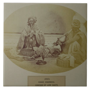 Jogis eller ormcharmör, låg kast Hindus från De Kakelplatta