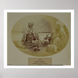 Jogis eller Snake Charmers, Low Caste Caste Hindus Poster