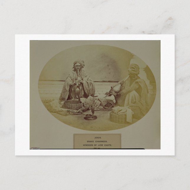 Jogis eller Snake Charmers, Low Caste Caste Hindus Vykort (Framsida)