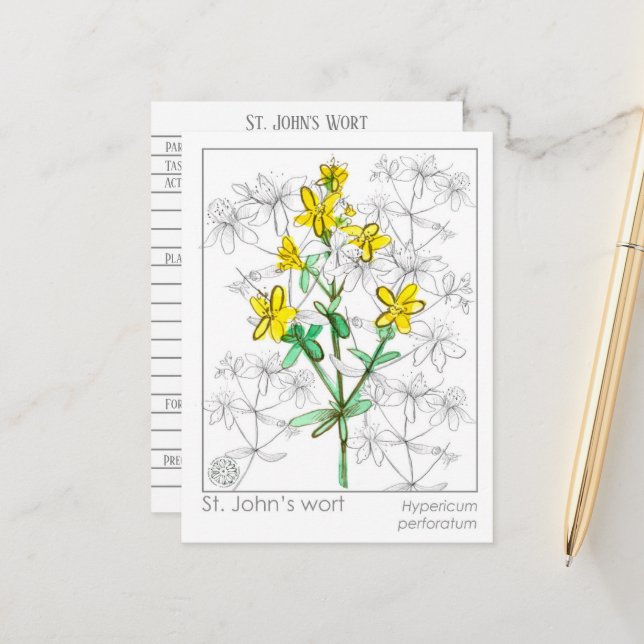 Johannes Wort Herb Materia Medica Cards Herbal Vykort (Fram/Back In Situ)