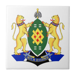 Johannesburg Flagga Kakelplatta
