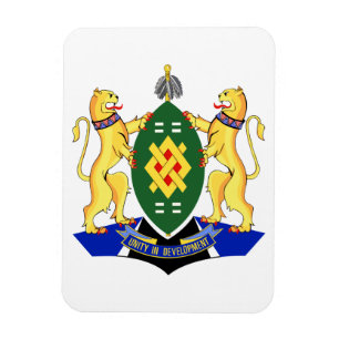 Johannesburg Jackar om Arm Magnet