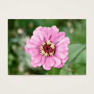 Johann's Beauty Mini Print Visitkort