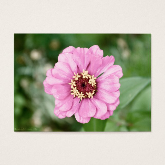 Johann's Beauty Mini Print Visitkort (Framsidan)