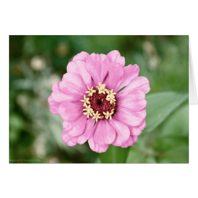 Johann's Beauty OBS Kort (Framsidan Horizontal)