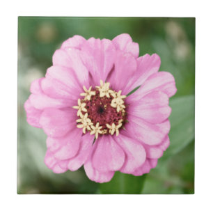 Johann's Beauty Tile Kakelplatta