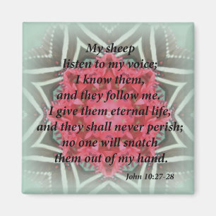 John 10:27 - 28 magnet