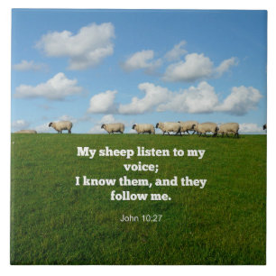 John 10:27, skriptversa, kakelplatta