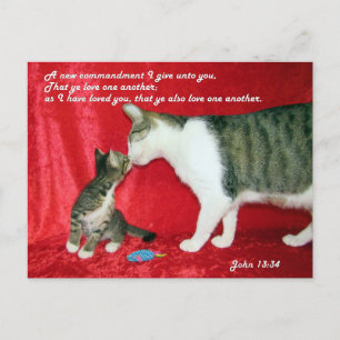 John 13:34 Bible Verse Postcard Vykort
