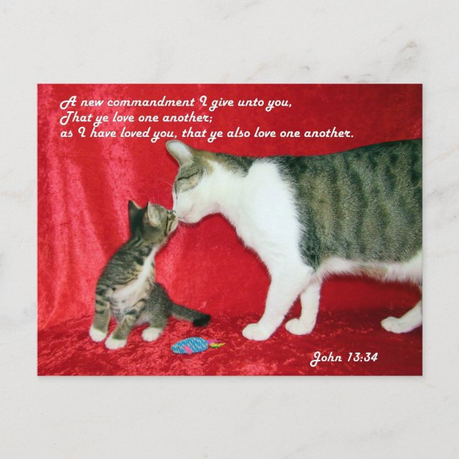 John 13:34 Bible Verse Postcard Vykort (Framsida)
