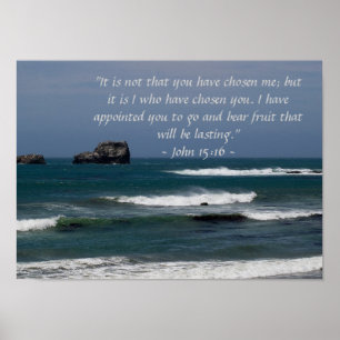 John 15:16affisch poster