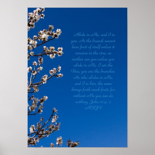 John 15:4-5 Abide Poster (Framsidan)