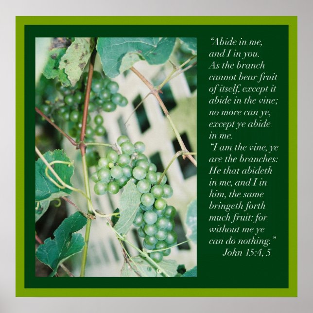 John 15: 4, 5 Scripture Poster (Framsidan)