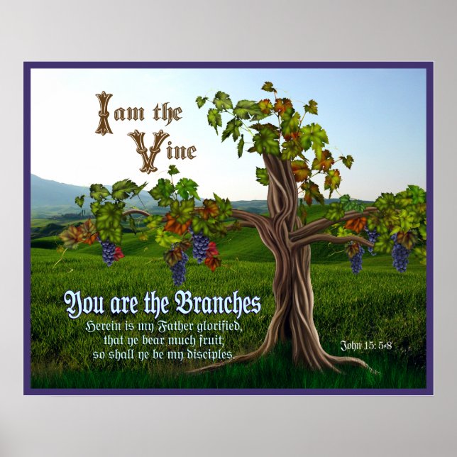 John 15: 5-8 Grape Vine Scripture Poster (Framsidan)