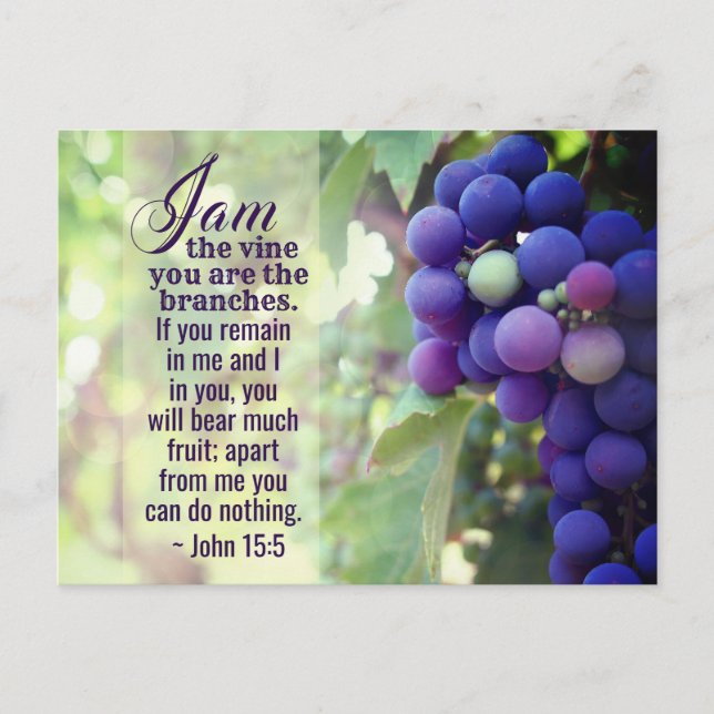 John 15:5 Jag är vinet Du är Grenar Bibeln Vykort (Framsida)
