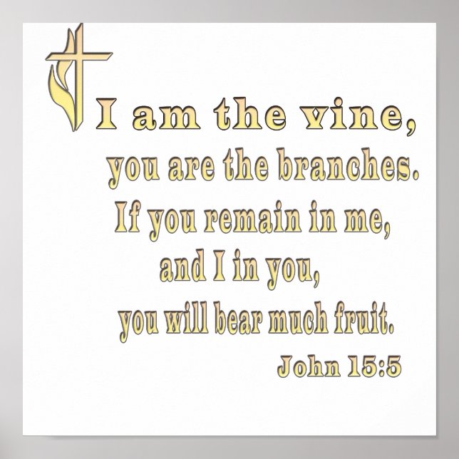 John 15:5-kläder med mera poster (Framsidan)