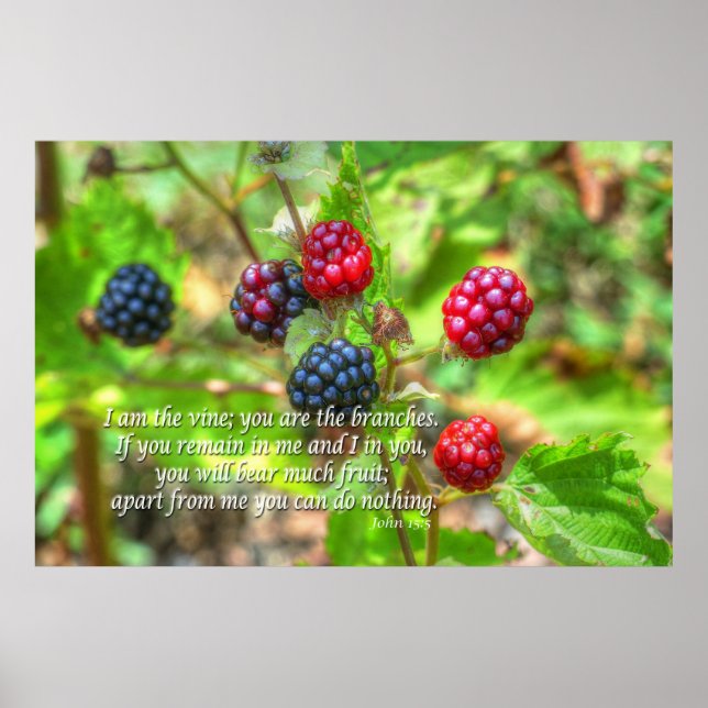 John 15:5 poster (Framsidan)