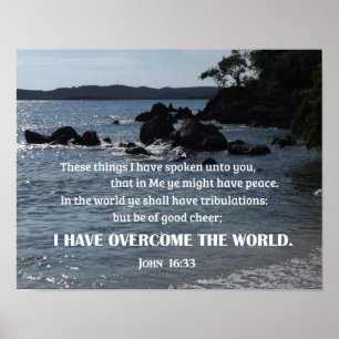 John 16:33 I sak har jag talat med er Poster