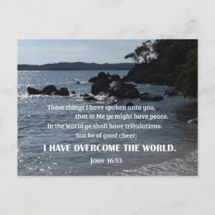 John 16:33 I sak har jag talat med er Vykort