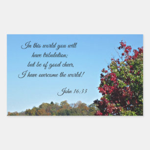 John 16:33 I världen kommer du att ha... Rektangulärt Klistermärke