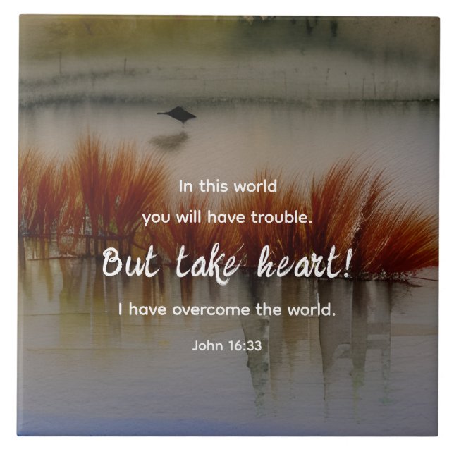 John 16:33 Jag har Overcome Bible Verse Christian Kakelplatta (Framsidan)