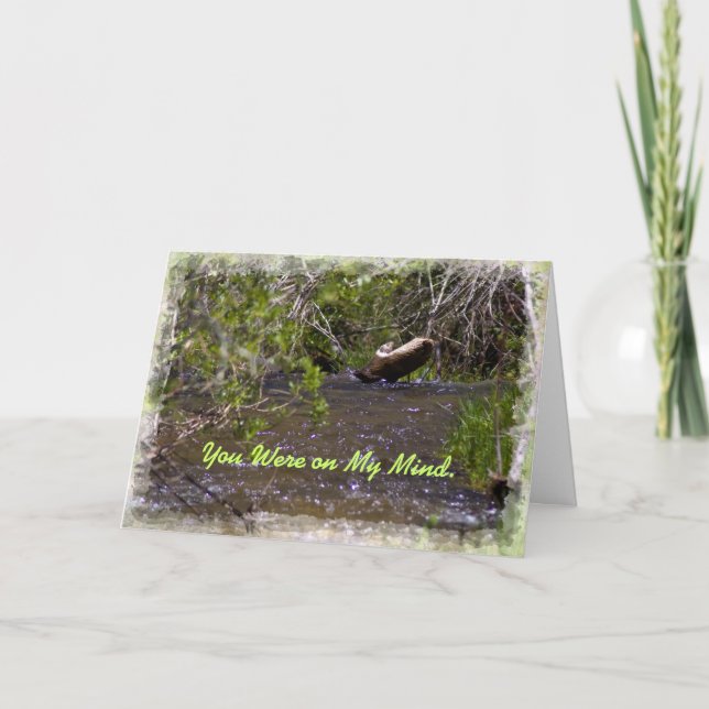 John 16:33 Uppmuntringskort Kort (Framsida)